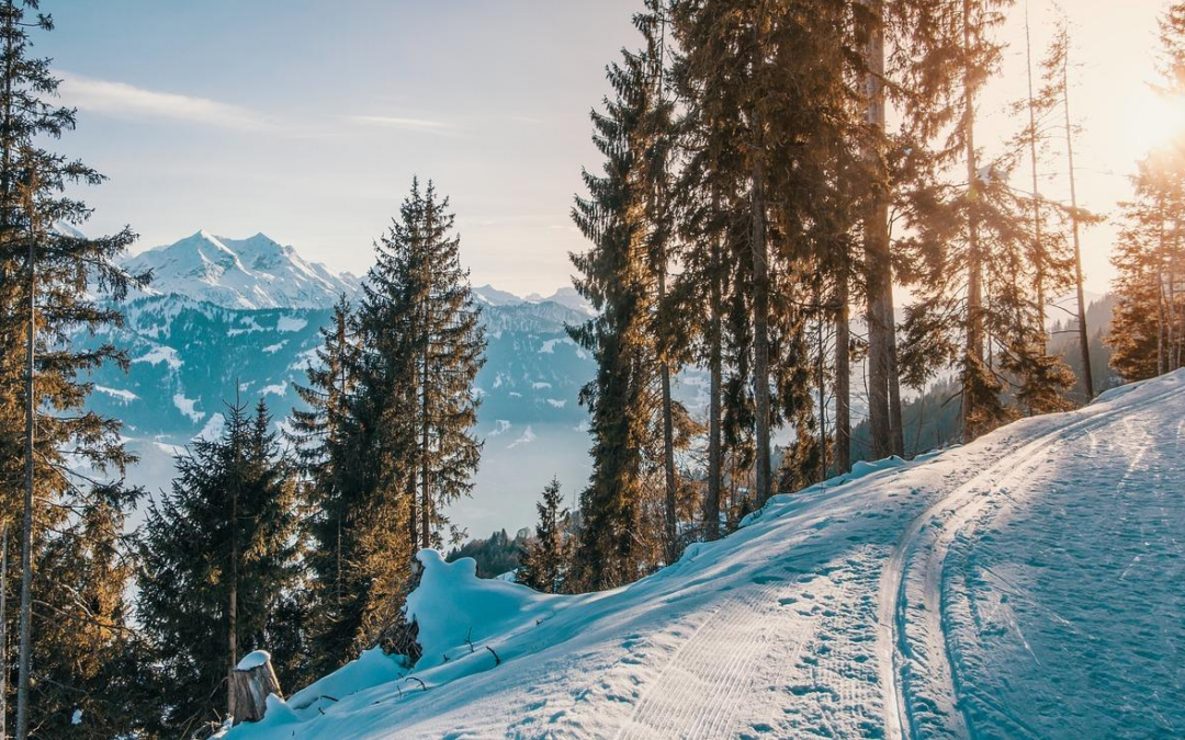 Des appartements a saisir a Morzine