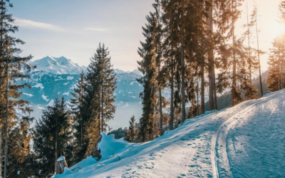 Des appartements a saisir a Morzine